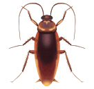 Barata para Huawei HarmonyOS 5.0