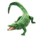 Crocodile pour Huawei HarmonyOS 5.0