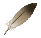 第羽毛号为第Huawei HarmonyOS 5.0号