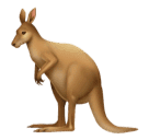 Kangaroo for Huawei HarmonyOS 5.0