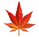Maple Leaf for Huawei HarmonyOS 5.0