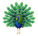 Павич для Huawei HarmonyOS 5.0