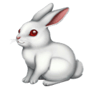 Coelho para Huawei HarmonyOS 5.0