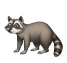 Raccoon for Huawei HarmonyOS 5.0