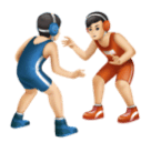 Wrestlers, Type-1-2 for Huawei HarmonyOS 5.0