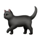 Black Cat Emoji 🐈‍⬛