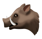 Kanec
