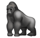 Gorila
