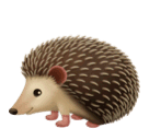 Ježek