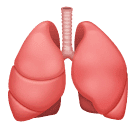 Lungs Emoji ๐ซ