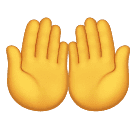 Obě dlaně nahoru