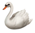 Labuť