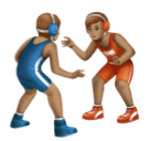 Борцы, Тип-4 для Huawei HarmonyOS 4.0