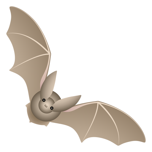Chauve-Souris