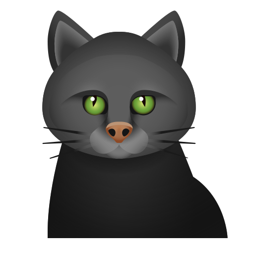 Chat Noir