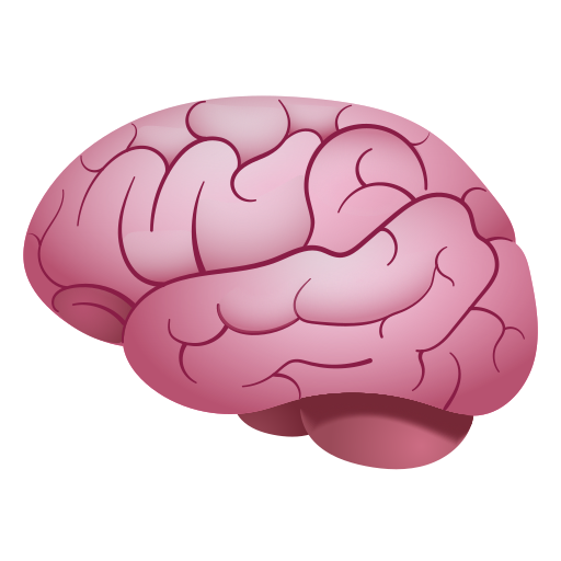 Cerveau