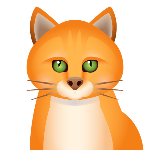 Chat