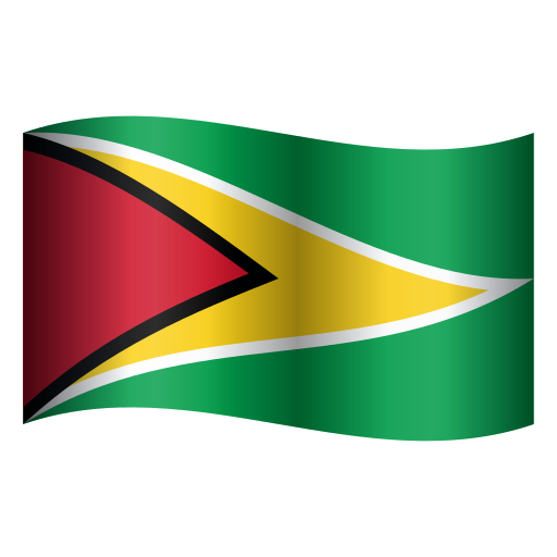 Drapeau: Guyana