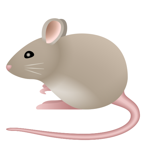 Souris
