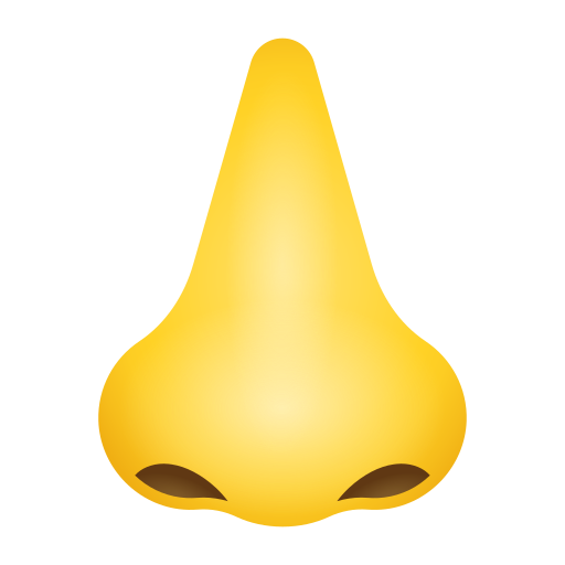Nez