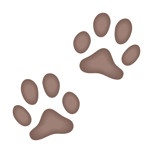 Empreintes D’Animaux