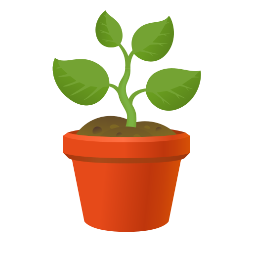 Plante En Pot