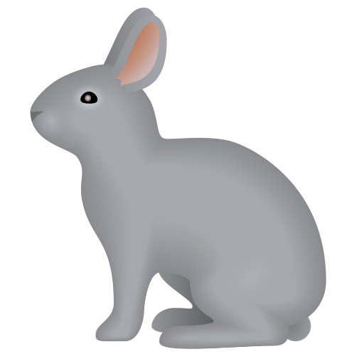Tête De Lapin