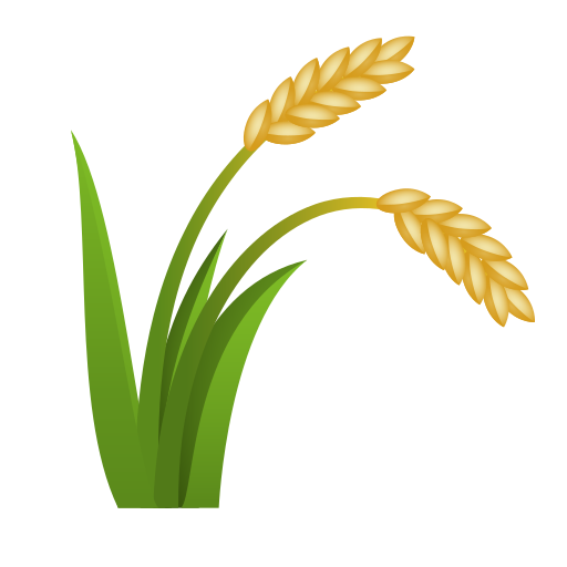 Plant De Riz