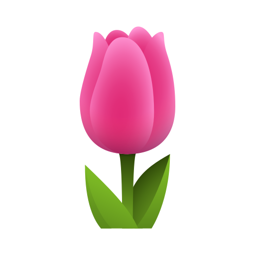 Tulipe