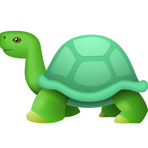 Tortue