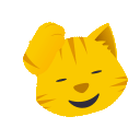 Kattengezicht