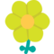 Květ