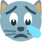 Plačící kočka