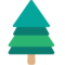 Stálezelený strom