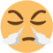 Obličej s párou z nosu