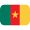 Vlajka: Kamerun