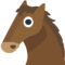 Koňská tvář