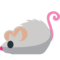 Myš