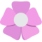 Rozeta