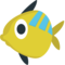 Tropická ryba