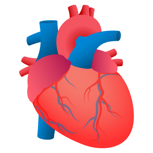 Anatomical Heart for JoyPixels 10.0