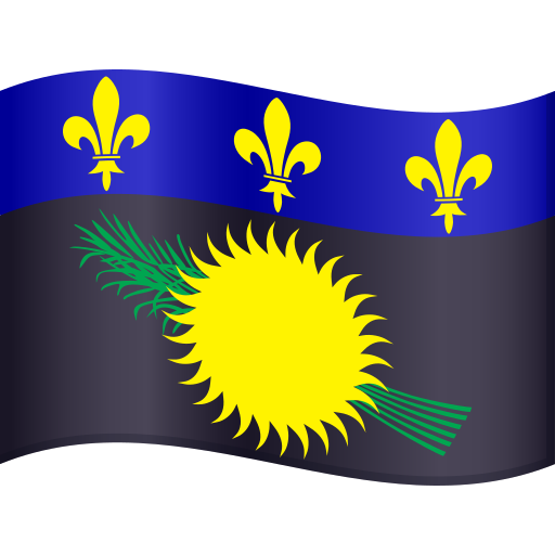 Bandera: Guadalupe para JoyPixels 10.0