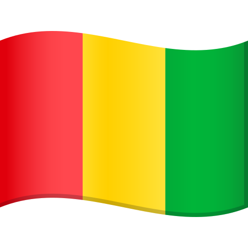 Bandeira: Guiné para JoyPixels 10.0