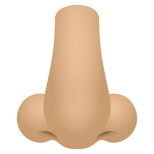 Nariz: Pele Morena Clara para JoyPixels 10.0