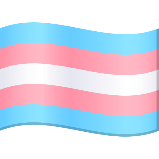 Прапор трансгендерної спільноти для JoyPixels 10.0