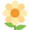 Flor