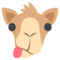 Dromedario