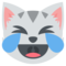 Gato Llorando De Risa