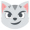 Gato Haciendo Una Mueca