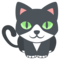 Gato
